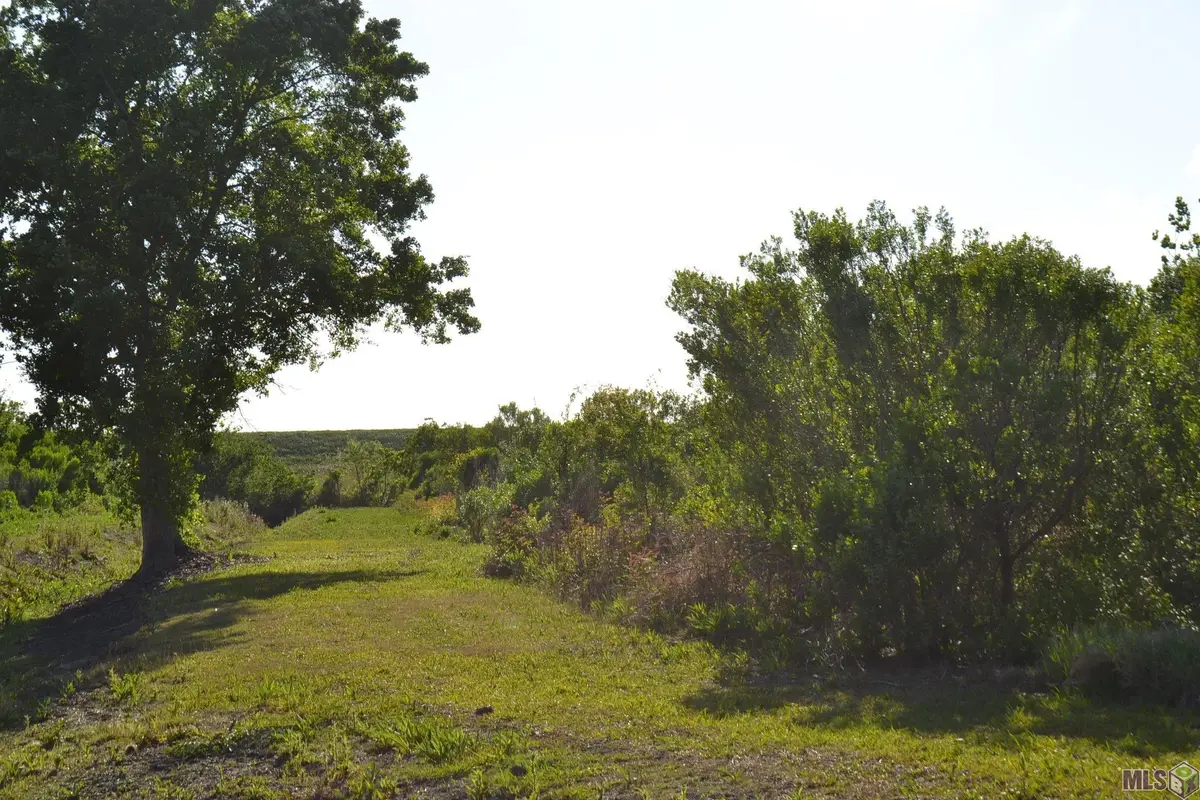 TBD Alex Plaisance Boulevard, Golden Meadow, LA 70357 - #1