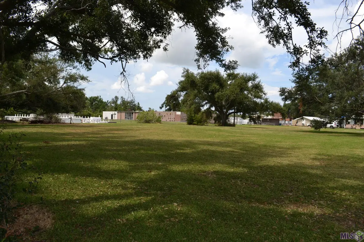 LOT 1 Oakridge Dr, Golden Meadow, LA 70357 - #1