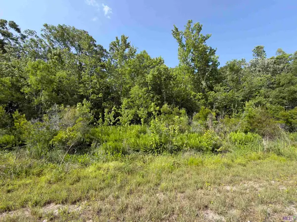 TBD Bayou Black Dr, Gibson, LA 70356