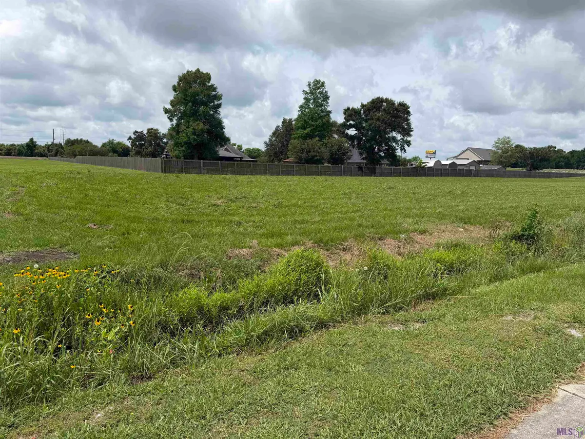252 Treasure Drive, Raceland, LA 70394 - #1