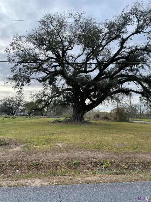 0 Highway 1011, Napoleonville, LA 70390