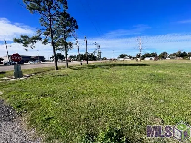 2126 South Alex Plaisance Boulevard, Golden Meadow, LA 70357 - #2