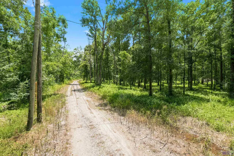 Lot 1 Wildwood Dr, Denham Springs, LA 70726 - #3