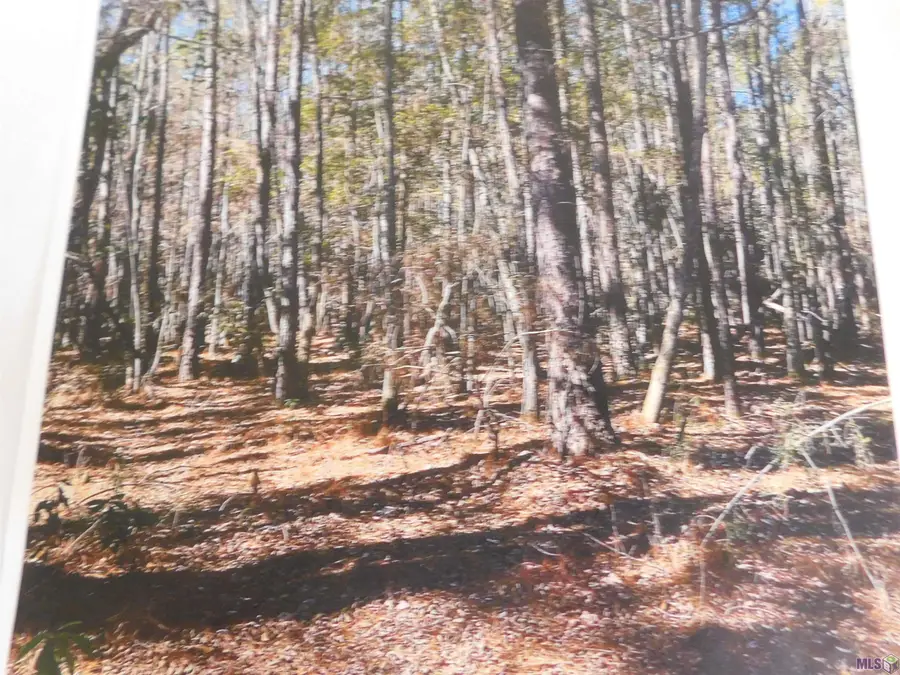 TBD Transmitter Rd, Lacombe, LA 70445 - #2