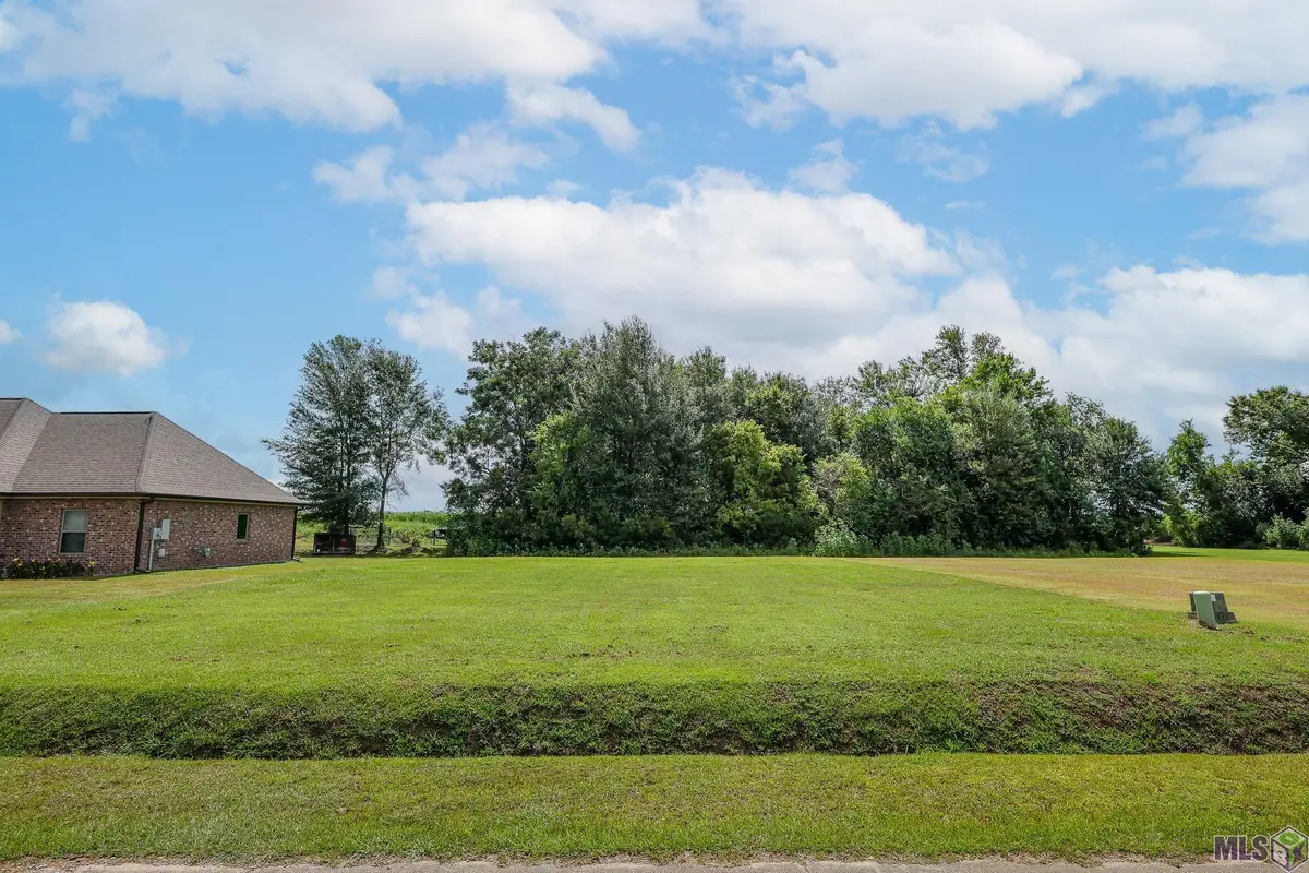 209 Le Belle Maison Drive, Raceland, LA 70394 - #1
