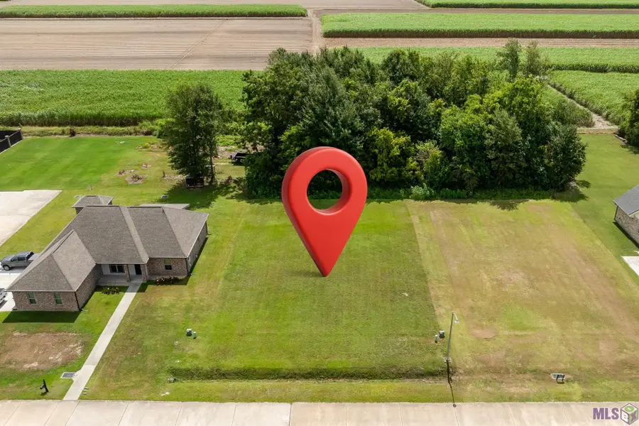 209 Le Belle Maison Drive, Raceland, LA 70394 - #3