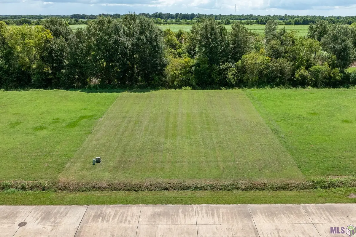 363 Le Belle Maison Drive, Raceland, LA 70394 - #1