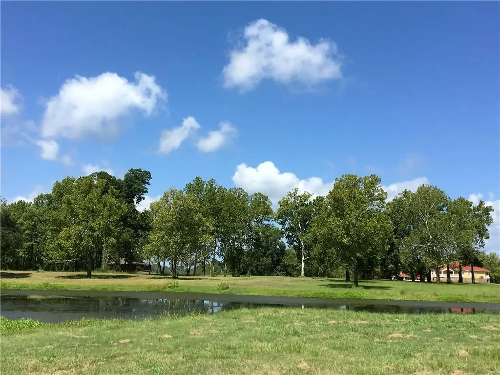 TBD Lucy Belle Drive, Marksville, LA 71351 - Image #1