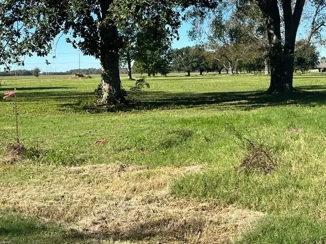 0 N Bayou Rapides Road, Alexandria, LA 71303 - Image #2