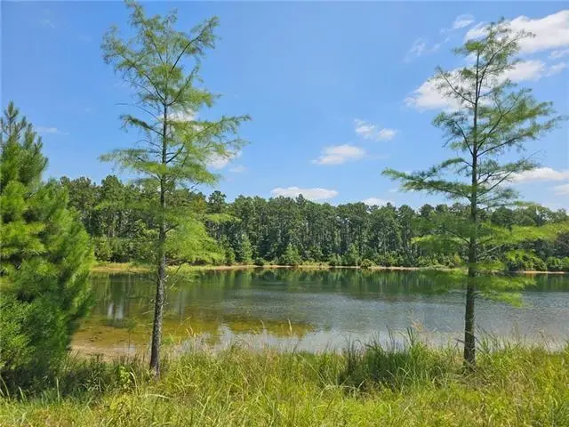 0 Alexandria Highway, Leesville, LA 71446 - #1