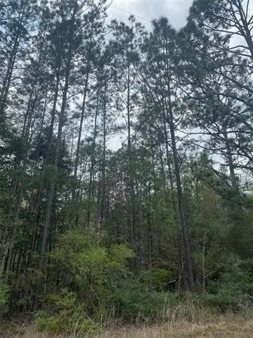 0 Graham Road, Leesville, LA 71446 - Image #1