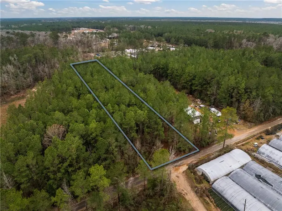 Lot 4 Avon Willis Road, Oakdale, LA 71463 - Image #2