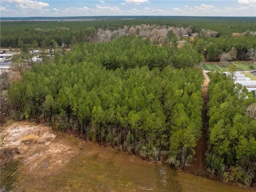 Lot 4 Avon Willis Road, Oakdale, LA 71463 - Image #3
