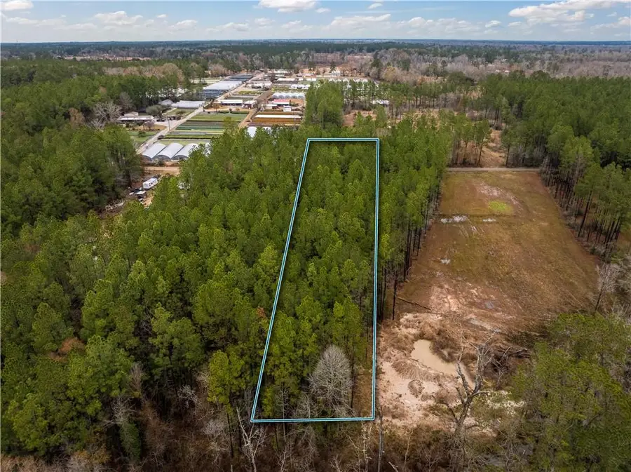 Lot 5 Avon Willis Road, Oakdale, LA 71463 - Image #2
