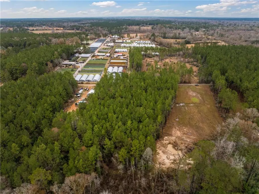 Lot 5 Avon Willis Road, Oakdale, LA 71463 - Image #3