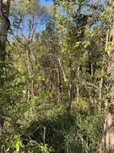 0 Laprairie Road, Marksville, LA 71351 - Image #2