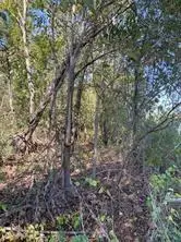 0 Laprairie Road, Marksville, LA 71351 - Image #3