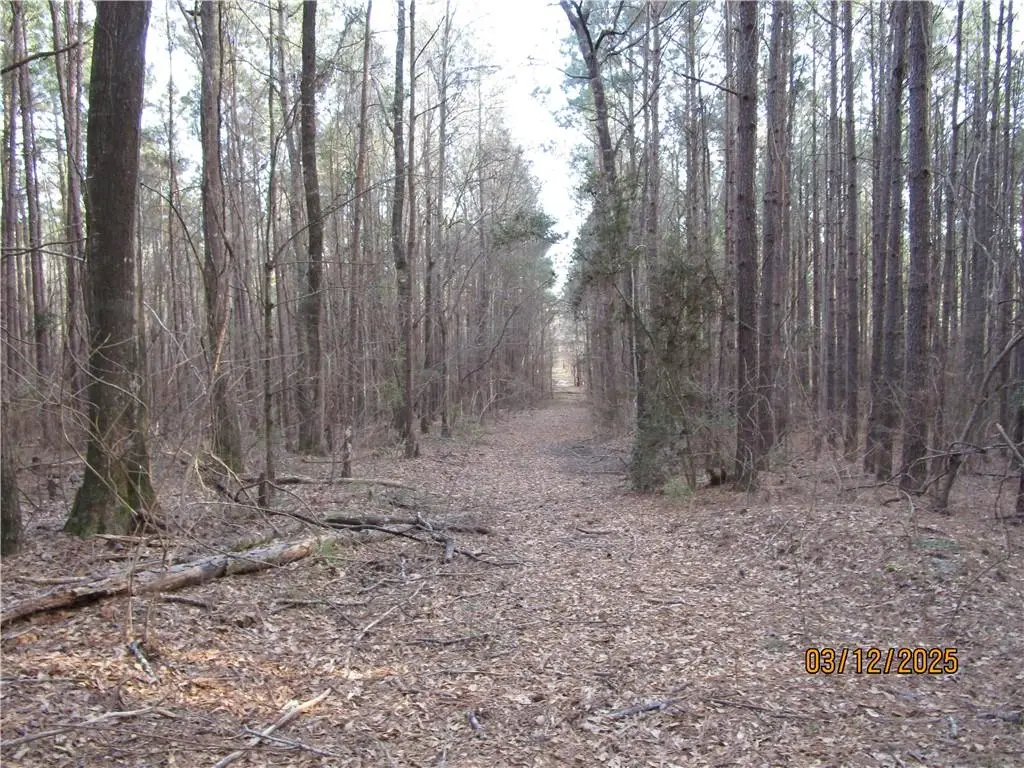 0 Obie Smith Road, Atlanta, LA 71404 - Image #1