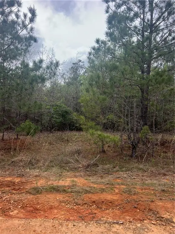 Tract 1 Scotts Path, Pollock, LA 71467 - Image #2