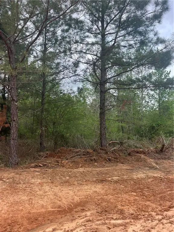 Tract 3 Scotts Path, Pollock, LA 71467 - Image #1