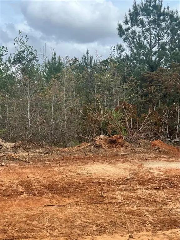 Tract 3 Scotts Path, Pollock, LA 71467 - Image #3