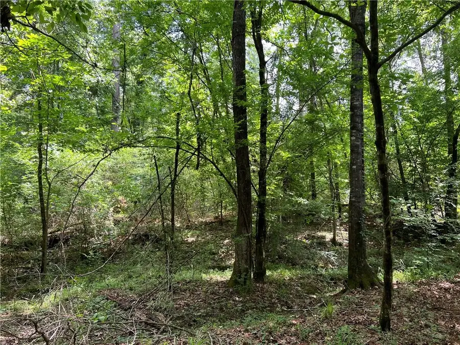 0 Shelton Drive, Ball, LA 71405 - Image #2