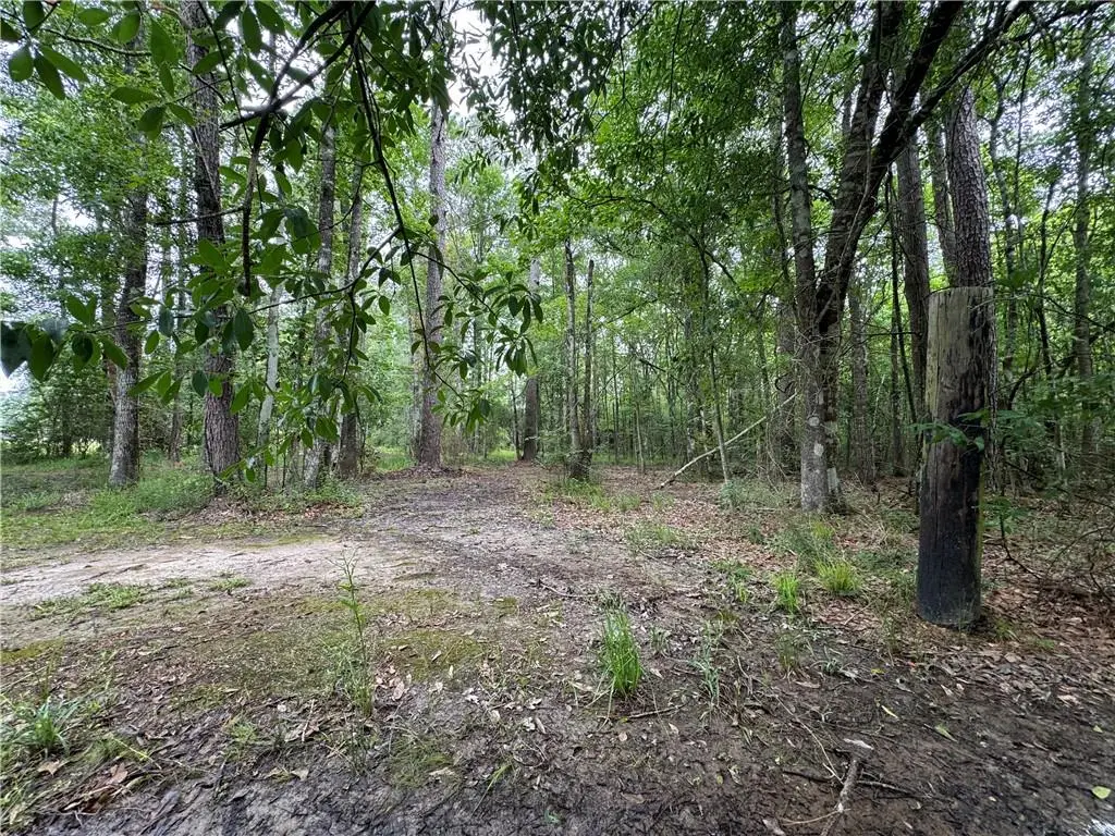 TBD Woodland Drive, Oakdale, LA 71463 - Image #1