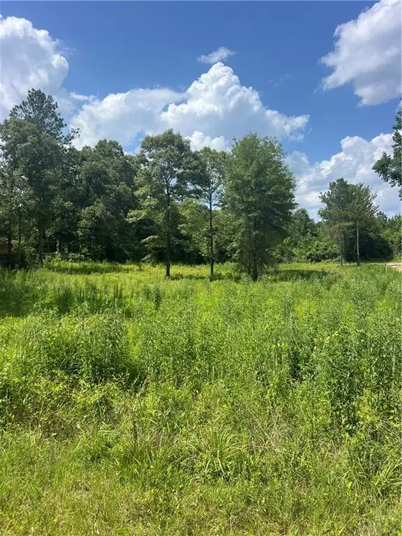 236 Hughart Road, Pollock, LA 71467 - Image #1