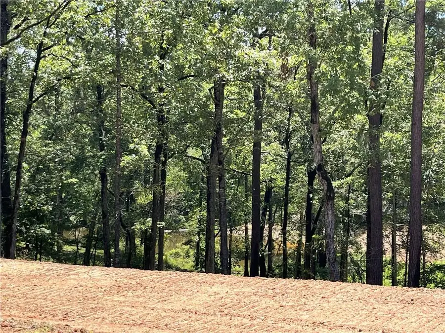 320 White Perch Lane, Zwolle, LA 71486 - Image #2