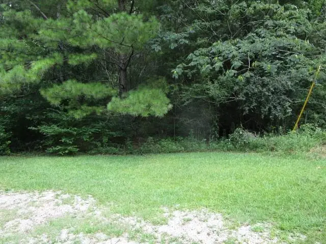 0 Homer Street, Pollock, LA 71467 - Image #2