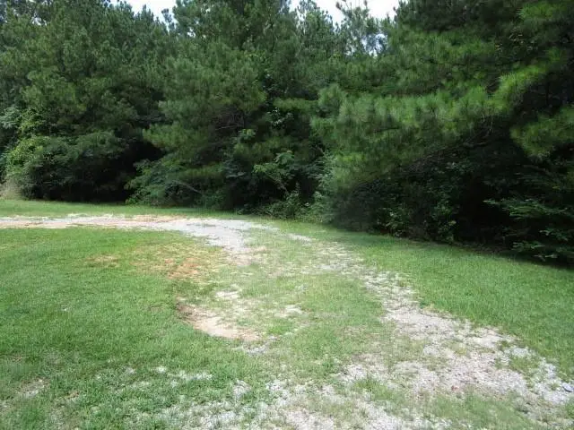 0 Homer Street, Pollock, LA 71467 - Image #3