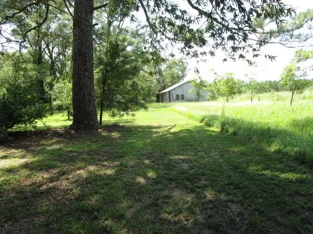 172 Lester Road, Oakdale, LA 71433 - Image #3