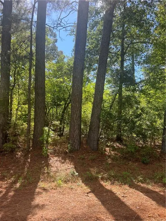 158 Lynn Lake Road, Pollock, LA 71467 - #1