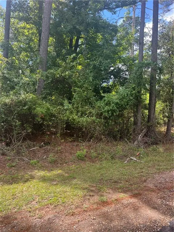 158 Lynn Lake Road, Pollock, LA 71467 - #2