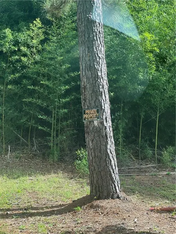 158 Lynn Lake Road, Pollock, LA 71467 - #3