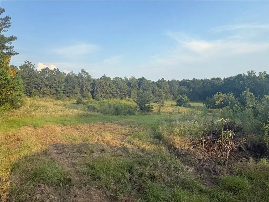 TBD Bayou Maria Road, Pineville, LA 71360 - Image #1