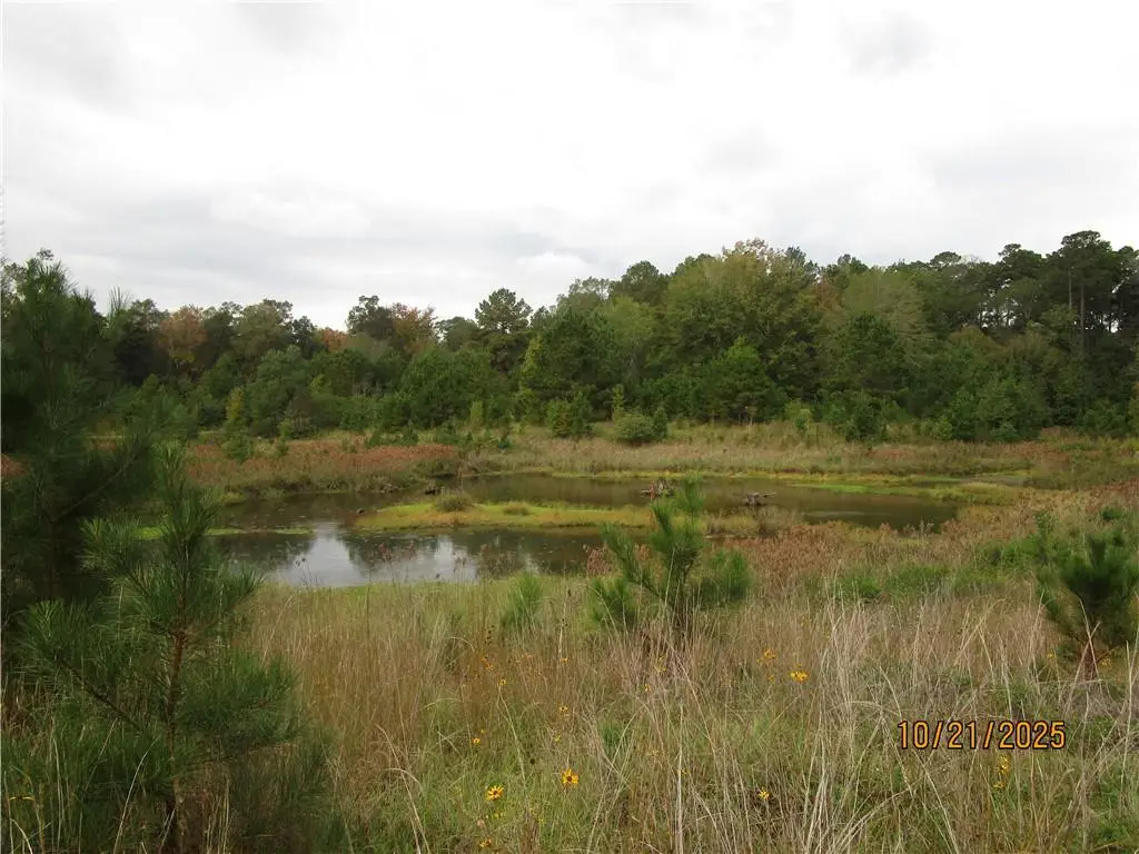 740 Mary Barron Road, Pollock, LA 71467 - Image #1