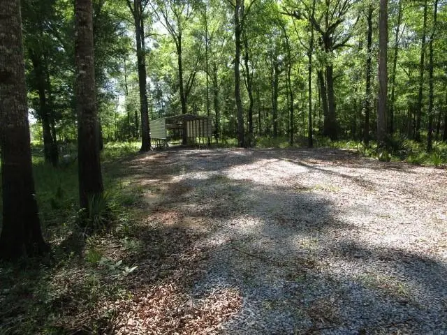 0 Cross Bayou (lilly Road) Road, Jonesville, LA 71343 - #2