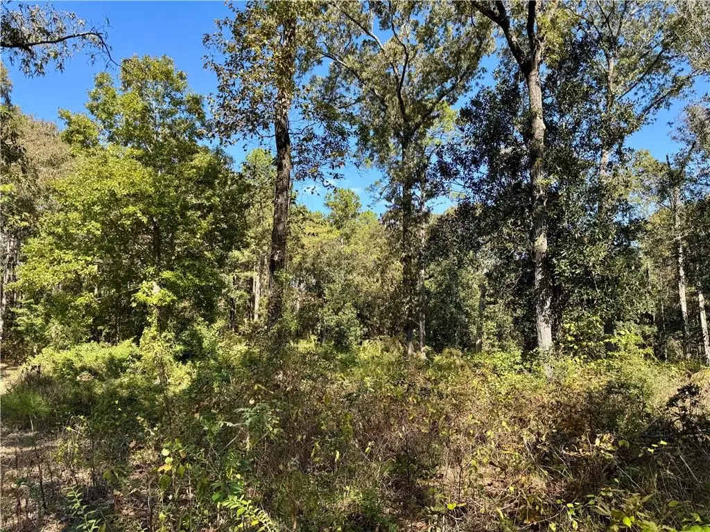 0 David Burns Road, Boyce, LA 71409 - Image #1