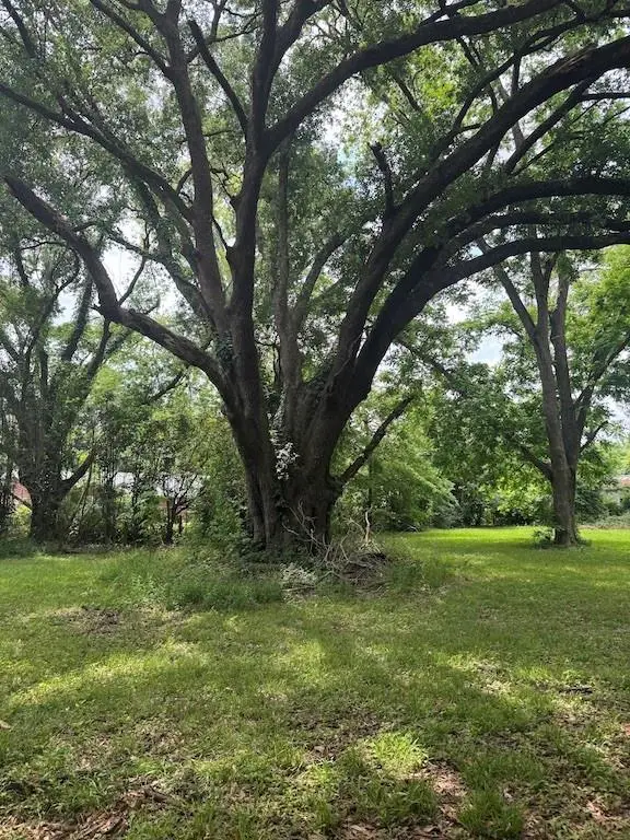 5119 N. Bolton Avenue, Alexandria, LA 71303