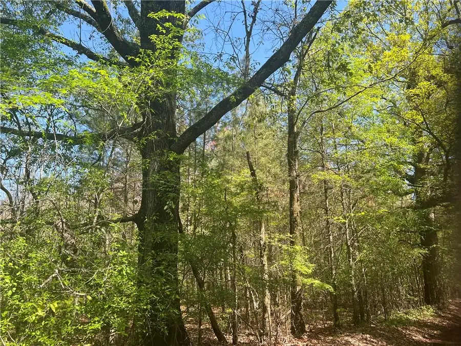 0 Nation Road, Deville, LA 71328 - Image #2