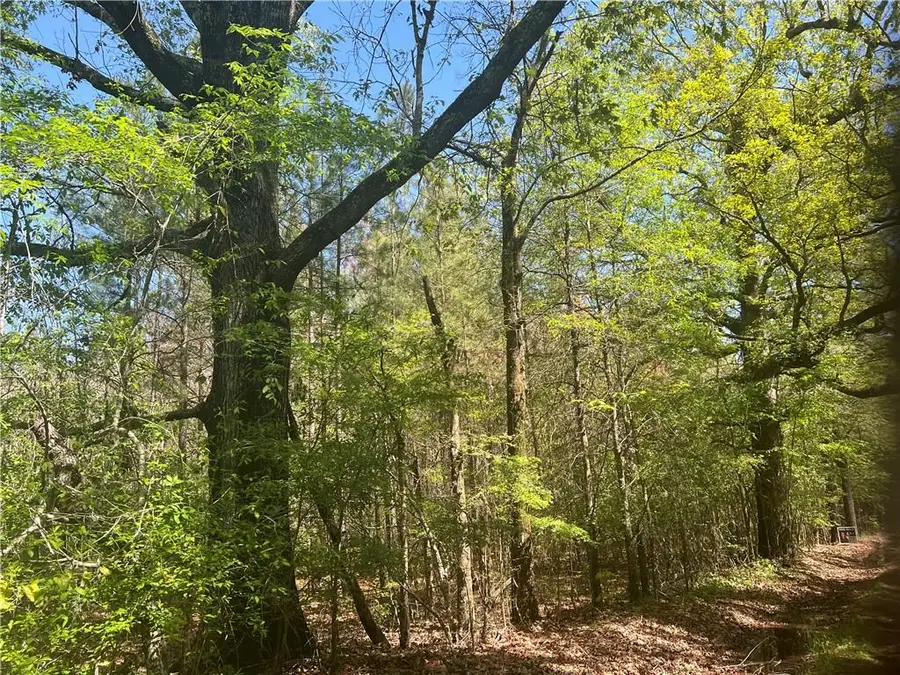 0 Nation Road, Deville, LA 71328 - Image #3