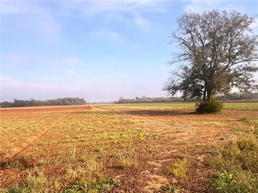 596 Crackville Road, Cottonport, LA 71327 - #2