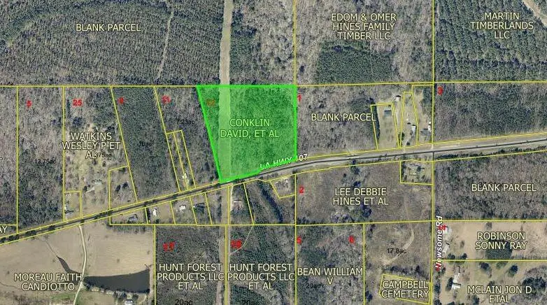 15.4 Acres Hwy 107 Highway, Pineville, LA 71360 - #1