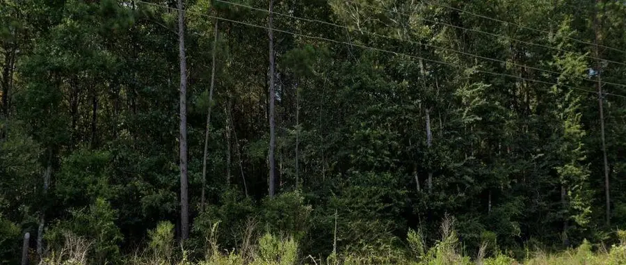 15.4 Acres Hwy 107 Highway, Pineville, LA 71360 - #2