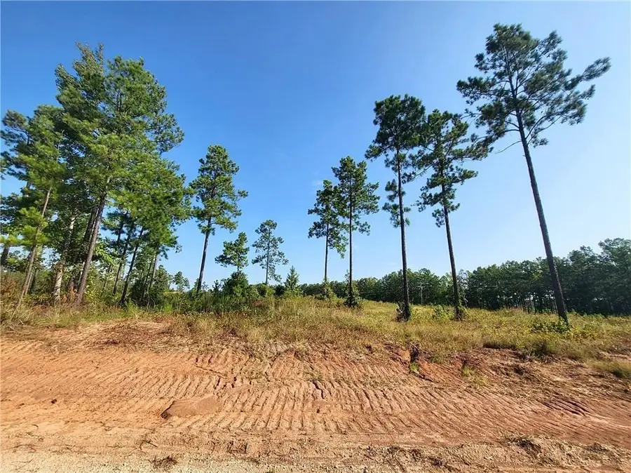 0 Hwy 117 Lot 7 Highway, Provencal, LA 71468 - #3