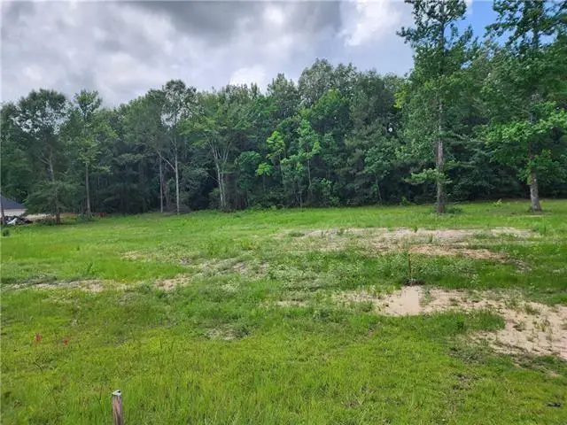 0 Richfield Place, Pineville, LA 71360 - #2