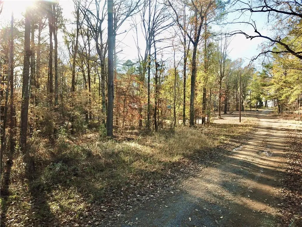 TBD Howard Road, Robeline, LA 71469 - #1