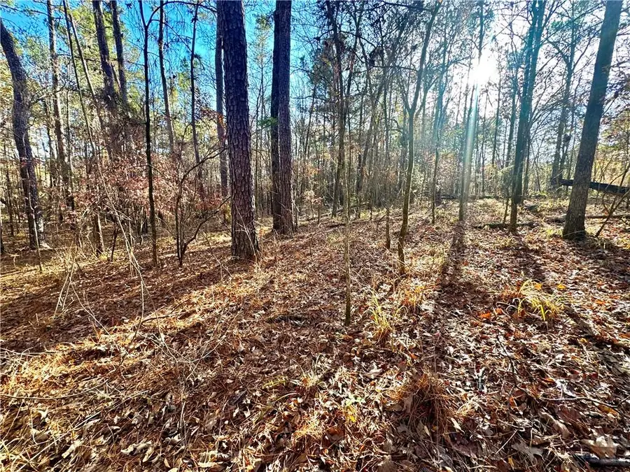 TBD Howard Road, Robeline, LA 71469 - #2