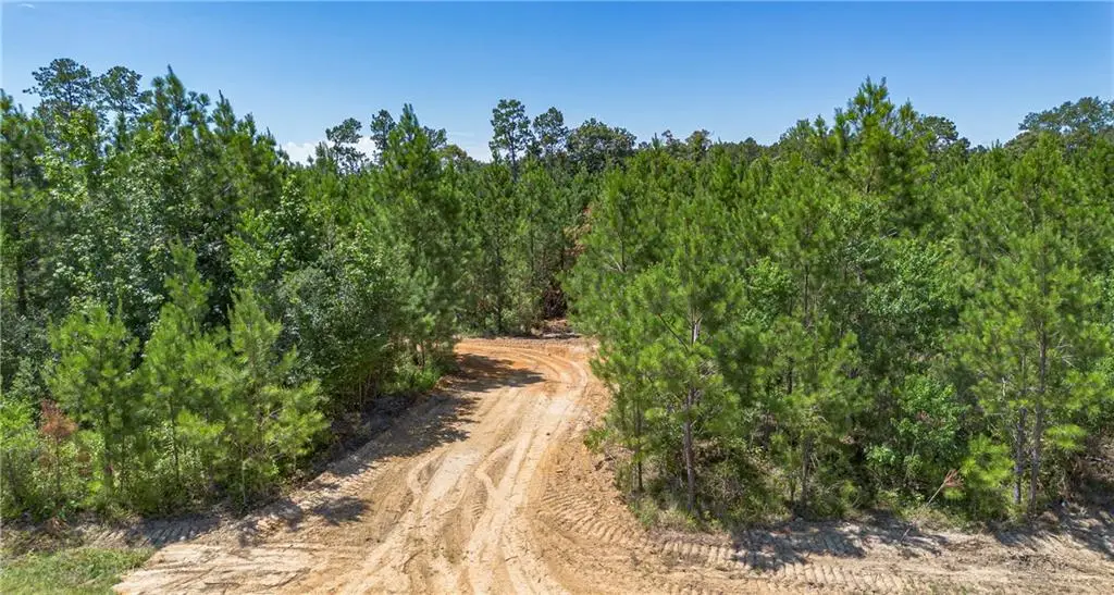 LOT A Ten Mile Road, Pitkin, LA 70656 - #1